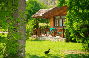 Read more about the article Ubezpieczenie domku letniskowego – co obejmuje i czy warto je mieć?